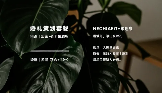 功能分区在婚礼庆典中的实际应用分析